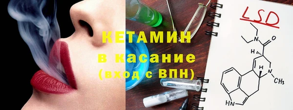твердый Новозыбков