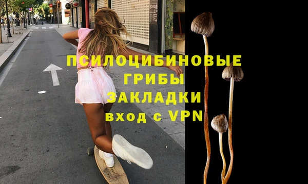 apvp Армянск