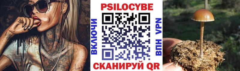 Галлюциногенные грибы Cubensis OMG зеркало Сатка